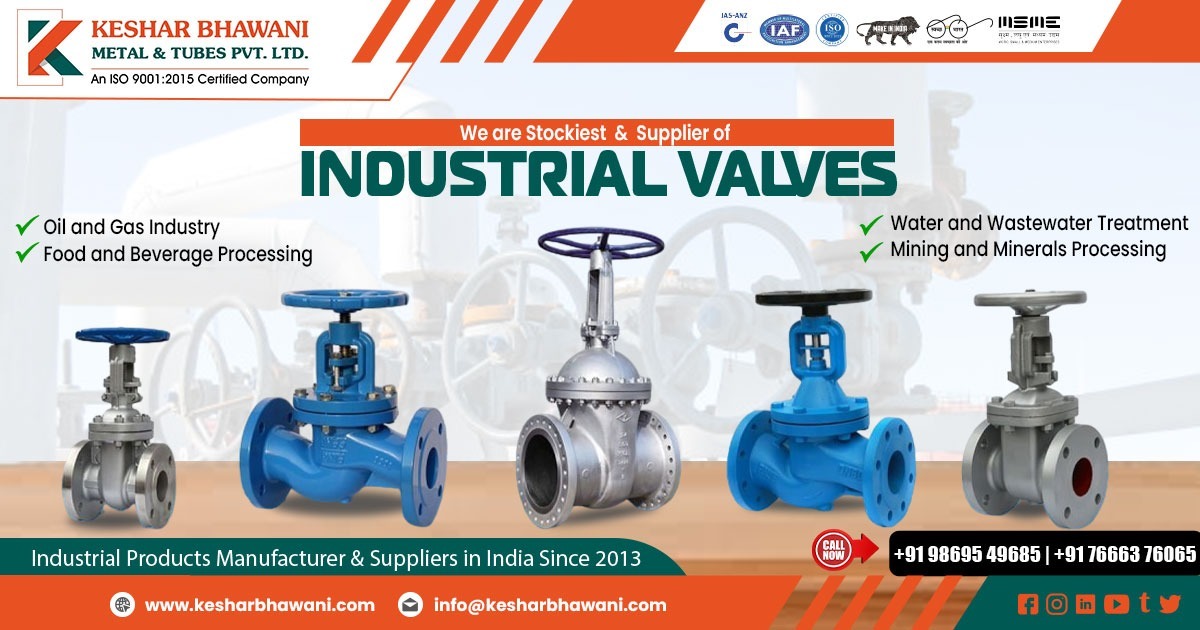 Supplier of Industrial Valves in Tamil Nadu