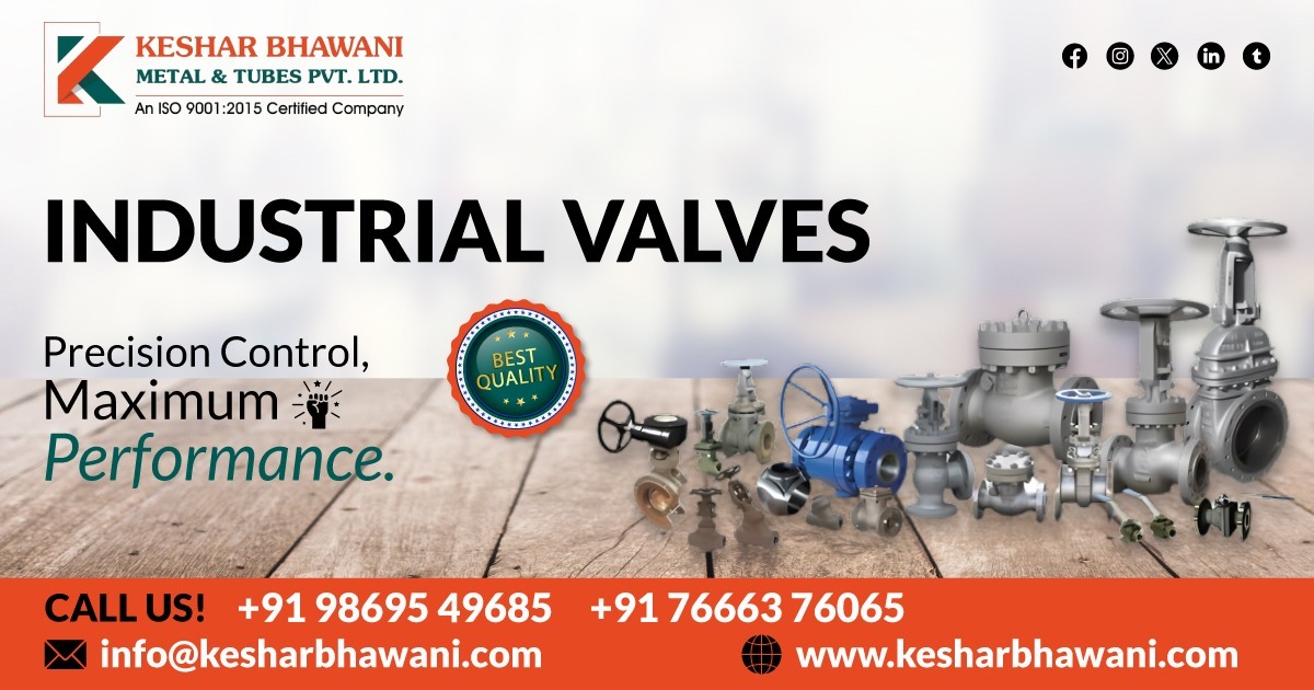 Industrial Valve in Punjab