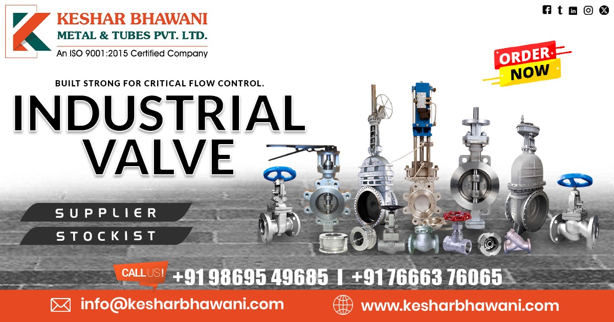 Industrial Valve in Rajasthan